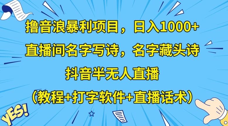 撸音浪暴利项目，日入1000+，直播间名字写诗，名字藏头诗，抖音半无人直播（教程+打字软件+直播话术）【揭秘】-搞个副业