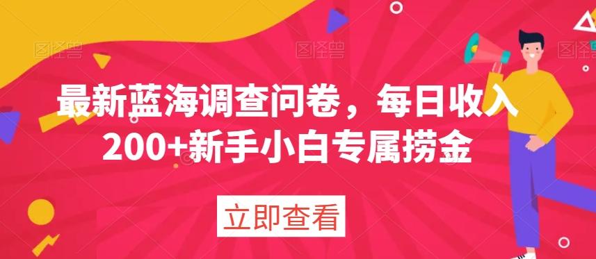 最新蓝海调查问卷，每日收入200+新手小白专属捞金-搞个副业