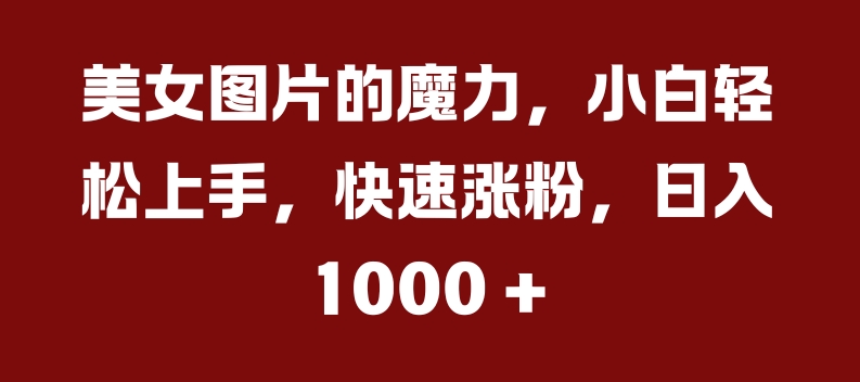 美女图片的魔力，小白轻松上手，快速涨粉，日入几张【揭秘】-搞个副业