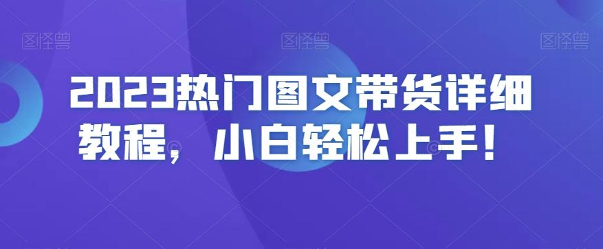 2023热门图文带货详细教程，小白轻松上手！-搞个副业