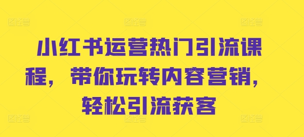 小红书运营热门引流课程，带你玩转内容营销，轻松引流获客-搞个副业