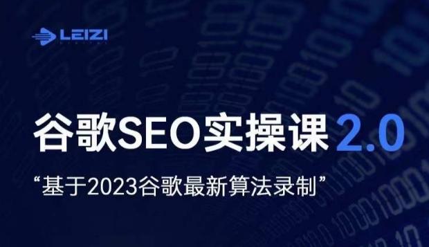 雷子·谷歌SEO 2.0实战课，独立站询盘自由必备，基于2023谷歌最新算法录制-搞个副业