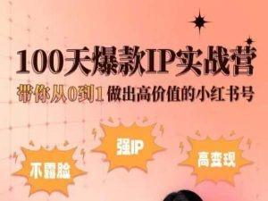 小红书100天爆款IP实战营，带你从0到1做出高价值的小红书号-搞个副业