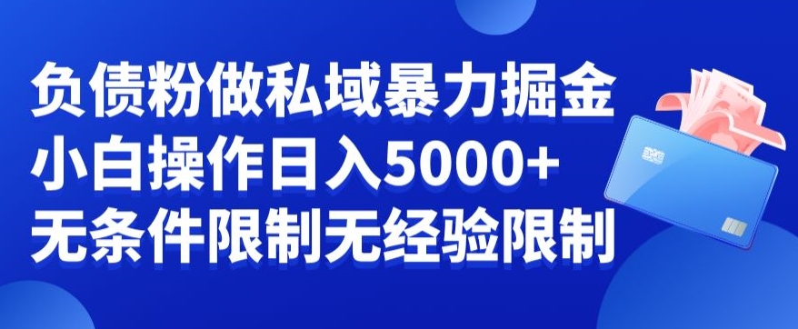 负债粉私域暴力掘金，小白操作入5000，无经验限制，无条件限制【揭秘】-搞个副业