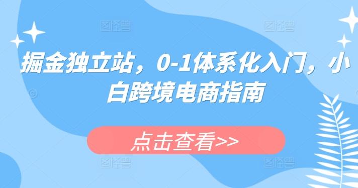 掘金独立站，0-1体系化入门，小白跨境电商指南-搞个副业