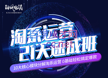 淘系运营21天速成班(更新24年5月)-搞个副业