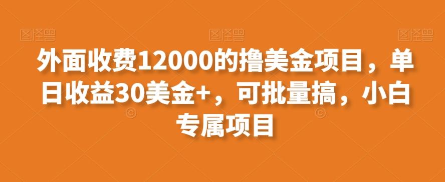 外面收费12000的撸美金项目，单日收益30美金+，可批量搞，小白专属项目-搞个副业