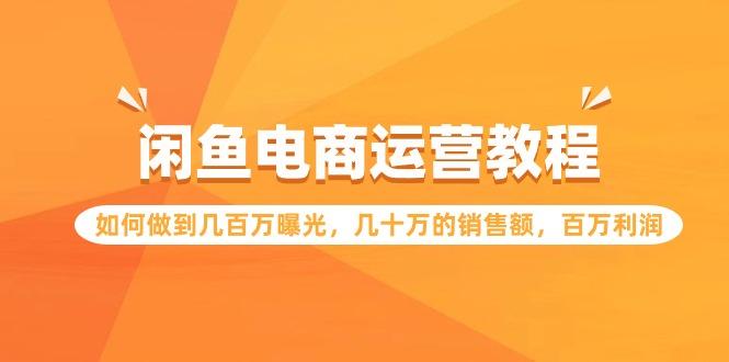(9560期)闲鱼电商运营教程：如何做到几百万曝光，几十万的销售额，百万利润-搞个副业