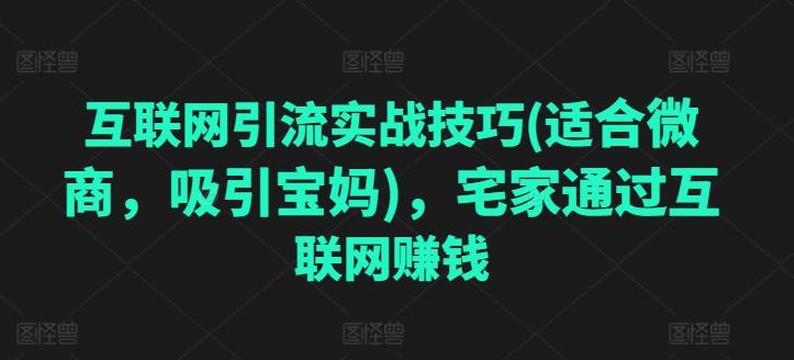 互联网引流实战技巧(适合微商，吸引宝妈)，宅家通过互联网赚钱-搞个副业