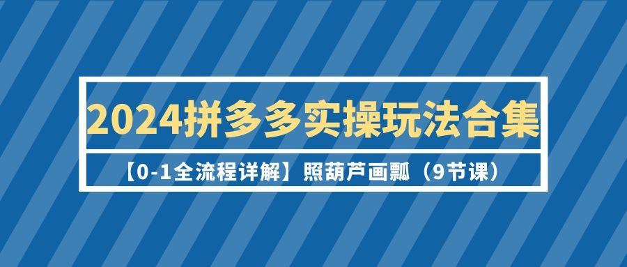 (9559期)2024拼多多实操玩法合集【0-1全流程详解】照葫芦画瓢(9节课)-搞个副业