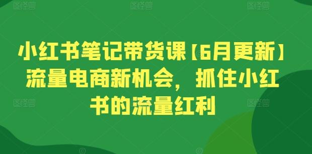 小红书笔记带货课【6月更新】流量电商新机会，抓住小红书的流量红利-搞个副业