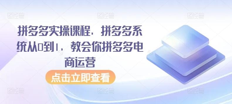 拼多多实操课程，拼多多系统从0到1，教会你拼多多电商运营-搞个副业