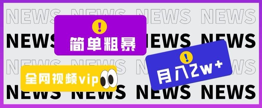 简单粗暴零成本，高回报，全网视频VIP掘金项目，月入2万＋【揭秘】-搞个副业