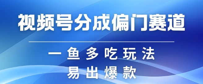 视频号创作者分成计划偏门类目，容易爆流，实拍内容简单易做【揭秘】-搞个副业