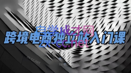团长·跨境电商独立站入门课(2小时精华)-搞个副业