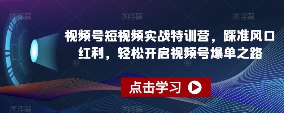 视频号短视频实战特训营，踩准风口红利，轻松开启视频号爆单之路-搞个副业