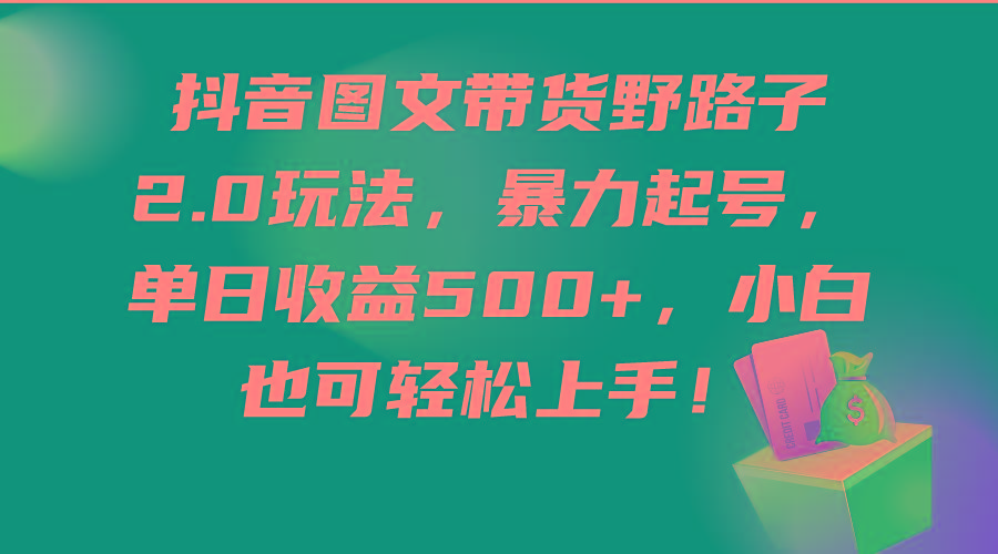 (9790期)抖音图文带货野路子2.0玩法，暴力起号，单日收益500+，小白也可轻松上手！-搞个副业