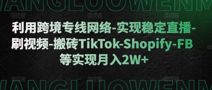利用跨境专线网络-实现稳定直播-刷视频-搬砖TikTok-Shopify-FB等实现月入2W+【揭秘】-搞个副业