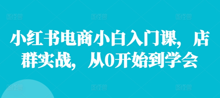 小红书电商小白入门课，店群实战，从0开始到学会-搞个副业