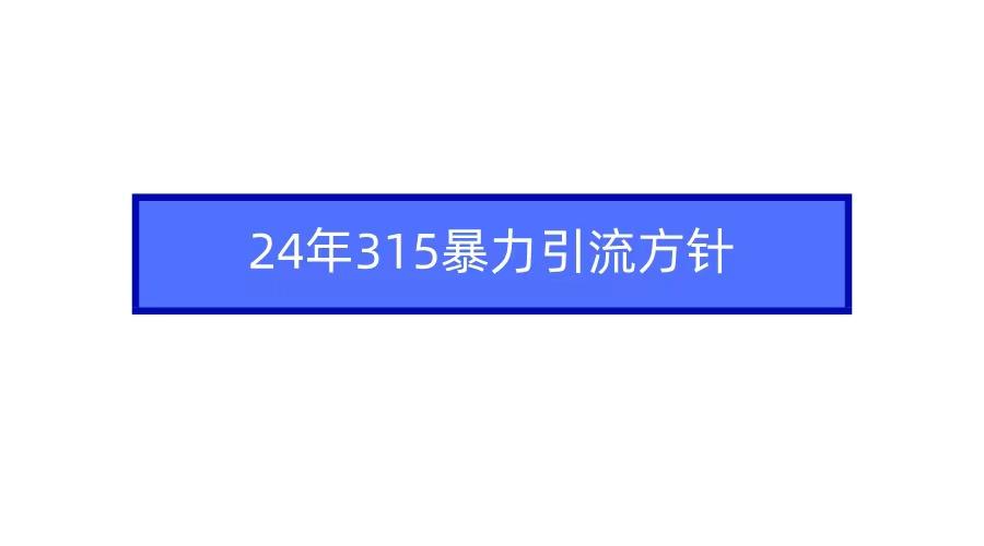 (9398期)2024年315暴力引流方针-搞个副业