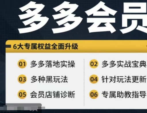 拼多多会员，拼多多实战宝典+实战落地实操，从新手到高阶内容全面覆盖-搞个副业