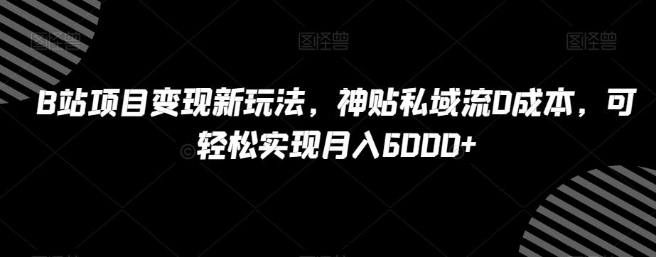B站项目变现新玩法，神贴私域流0成本，可轻松实现月入6000+【揭秘】-搞个副业