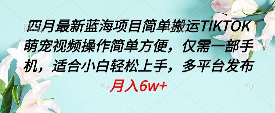四月最新蓝海项目，简单搬运TIKTOK萌宠视频，操作简单方便，仅需一部手机【揭秘】-搞个副业