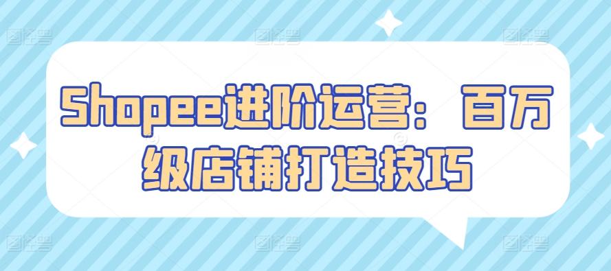 Shopee进阶运营：百万级店铺打造技巧-搞个副业