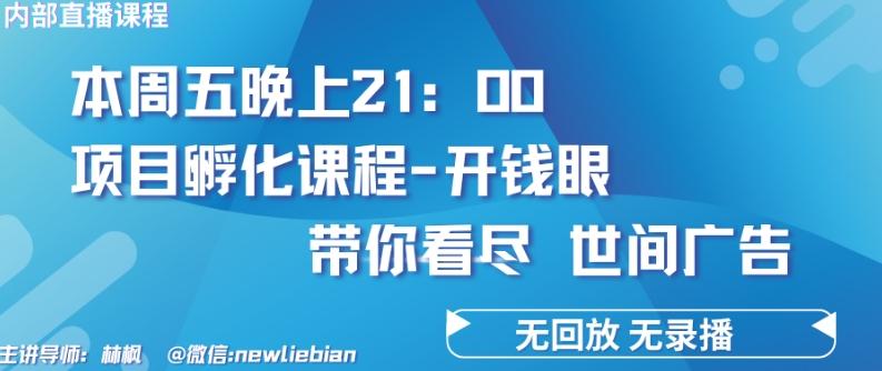 4.26日内部回放课程《项目孵化-开钱眼》赚钱的底层逻辑【揭秘】-搞个副业