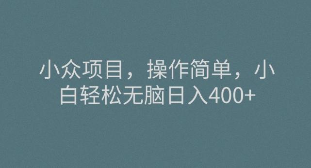 小众项目，操作简单，小白轻松无脑日入400+-搞个副业