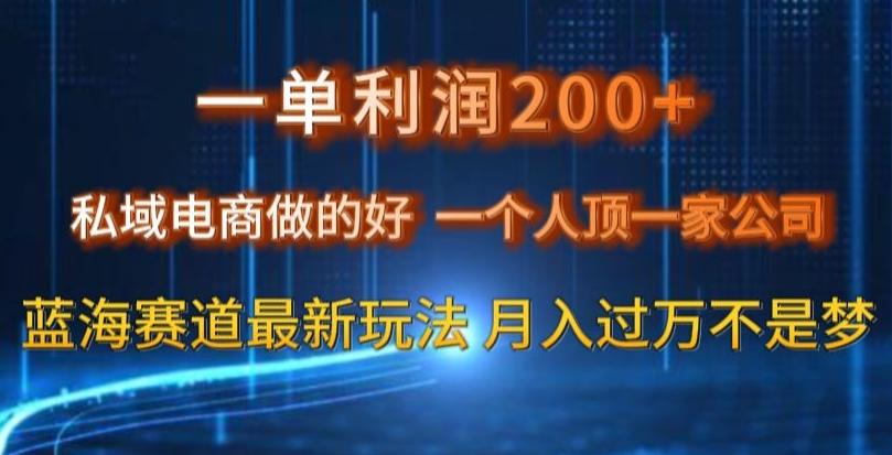 一单利润200私域电商做的好，一个人顶一家公司蓝海赛道最新玩法【揭秘】-搞个副业