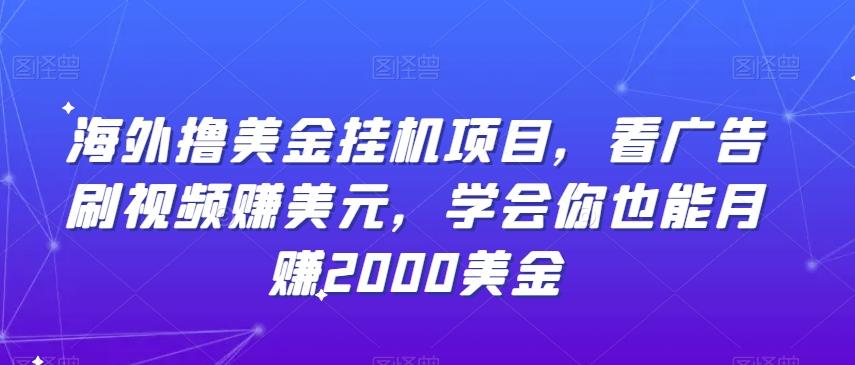 海外撸美金挂机项目，看广告刷视频赚美元，学会你也能月赚2000美金-搞个副业
