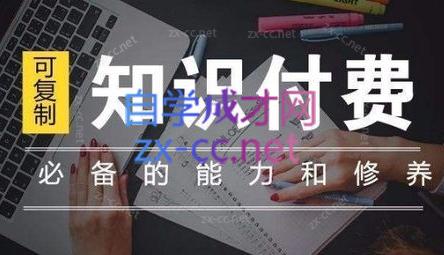 君哥·IP合伙人知识付费虚拟项目(更新24年6月)-搞个副业