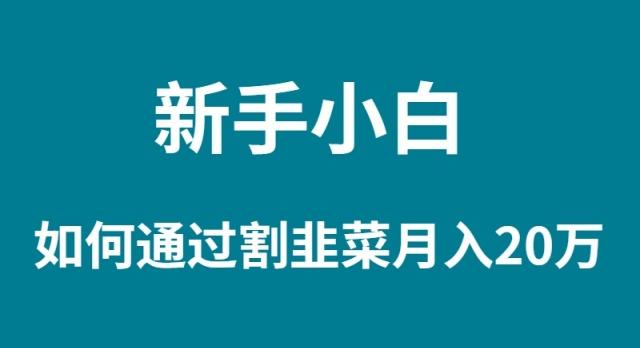 (9308期)新手小白如何通过割韭菜月入 20W-搞个副业