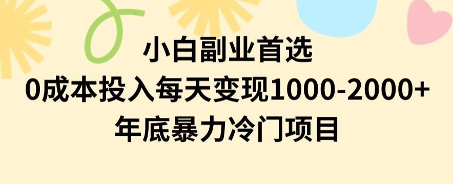小白副业首选，0成本投入，每天变现1000-2000年底暴力冷门项目【揭秘】-搞个副业