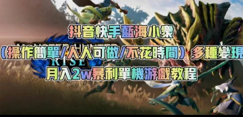 抖音快手蓝海小众（操作简单人人可做不花时间）多种变现月入2w＋暴利单机游戏教程-搞个副业