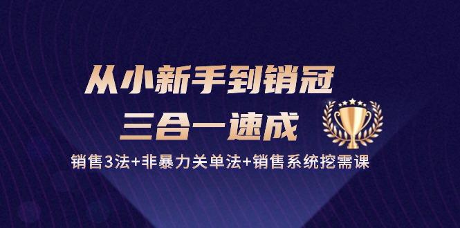从小新手到销冠 三合一速成：销售3法+非暴力关单法+销售系统挖需课 (27节-搞个副业