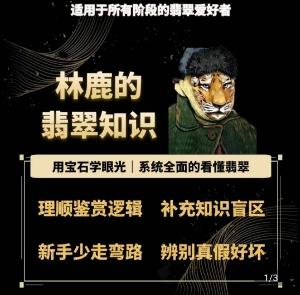 林鹿的翡翠知识，​用宝石眼光，系统全面的看懂翡翠-搞个副业