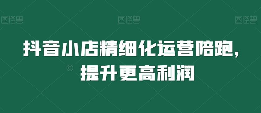 抖音小店精细化运营陪跑，提升更高利润-搞个副业