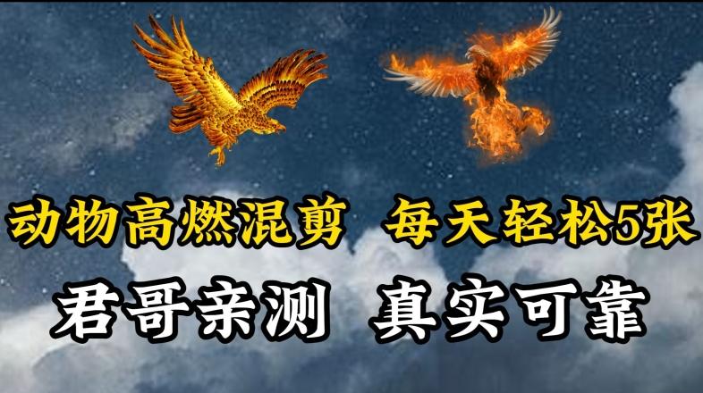 动物超燃混剪，每天轻松5张，剪辑简单大家爱看【揭秘】-搞个副业