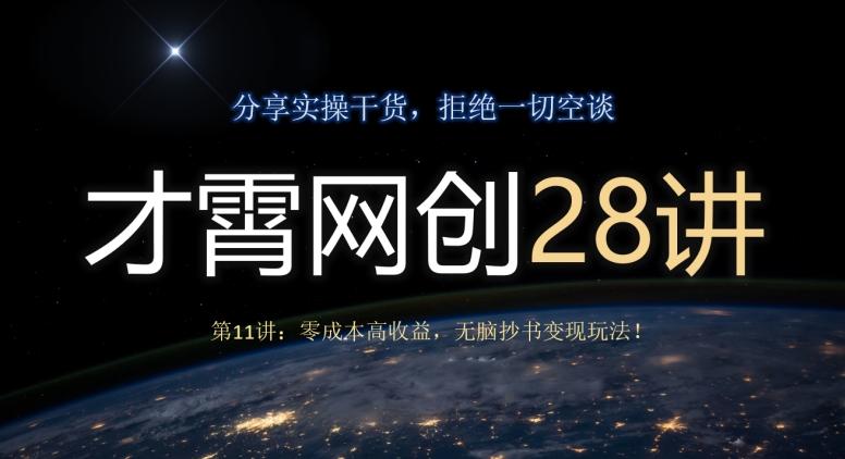 才霄网创28讲第11讲：零成本高收益，无脑抄书变现玩法！-搞个副业