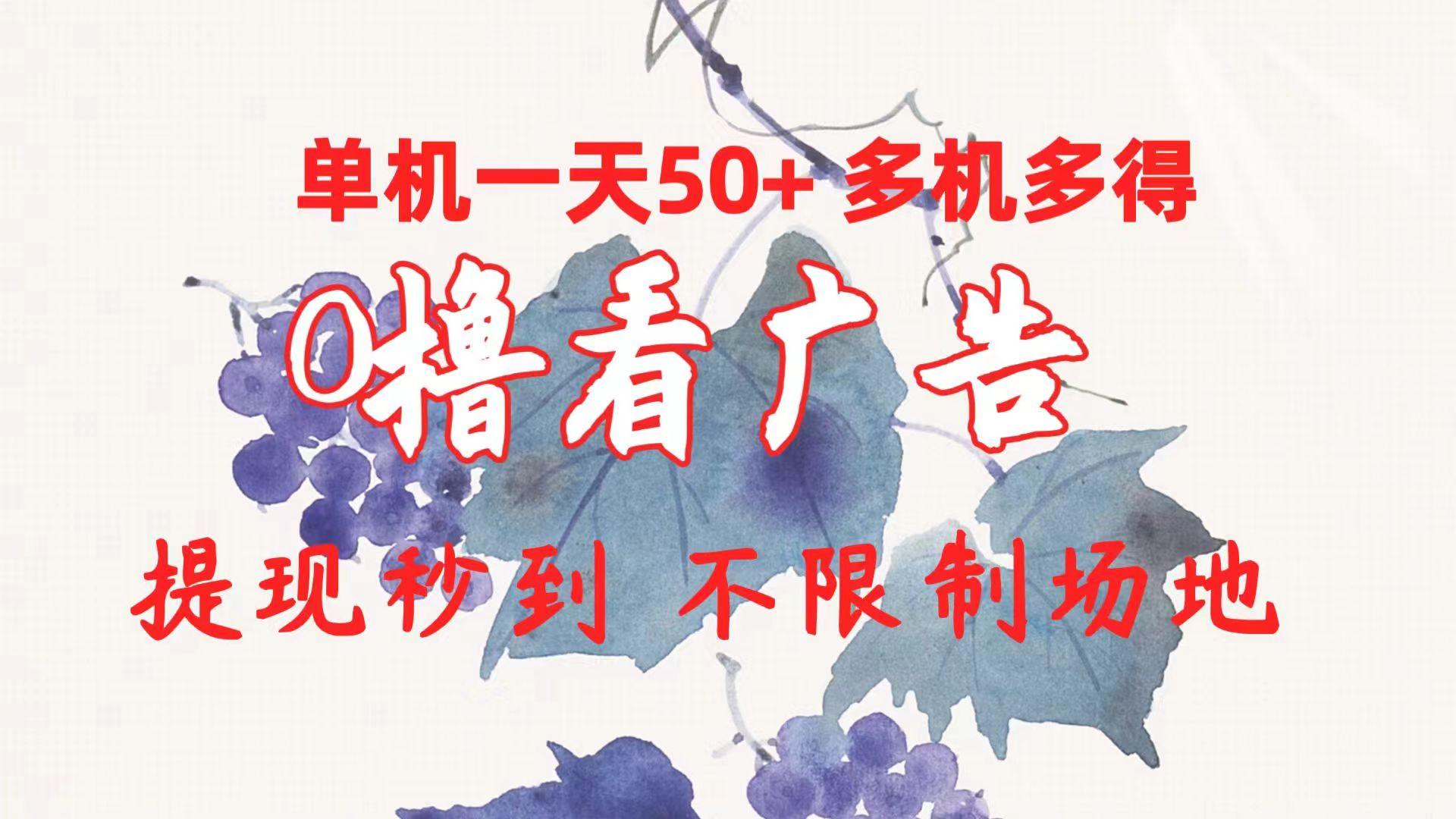 0撸看广告 单机一天50+多机多得 提现秒到 不限制场地操作-搞个副业