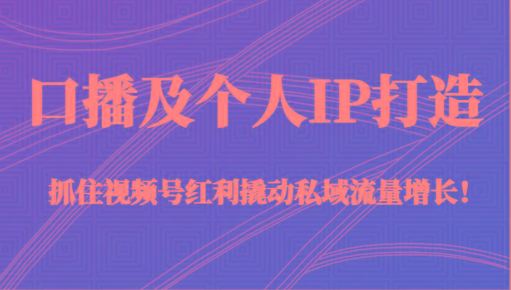 口播及个人IP打造，抓住视频号红利撬动私域流量增长！（45节课）-搞个副业