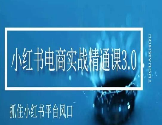 小红书电商实战精通课3.0，抓住小红书平台的风口，不错过有一个赚钱的机会-搞个副业