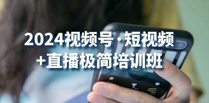 2024视频号·短视频+直播极简培训班：抓住视频号风口，流量红利-搞个副业