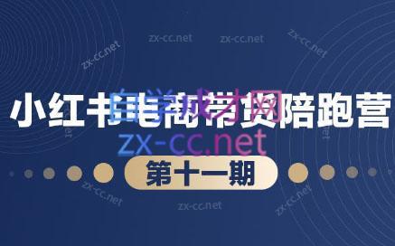 盗坤·小红书电商带货陪跑营(第十一期)-搞个副业