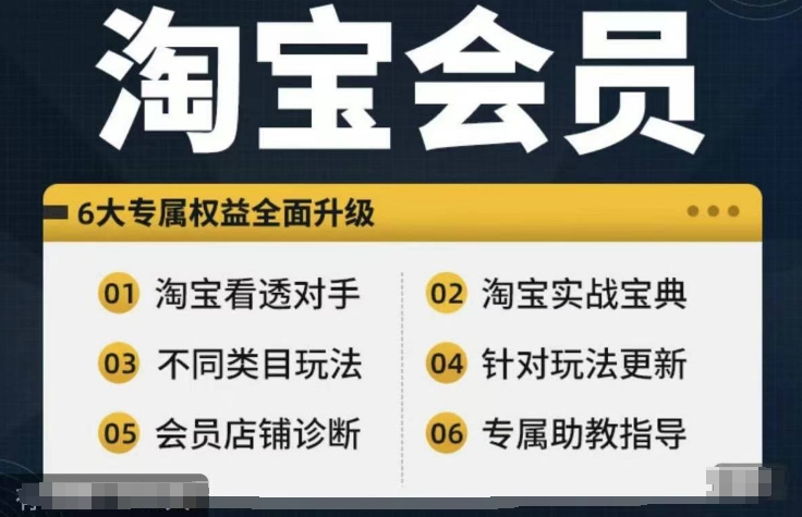 淘宝会员【淘宝所有课程，全面分析对手】，初级到高手全系实战宝典-搞个副业
