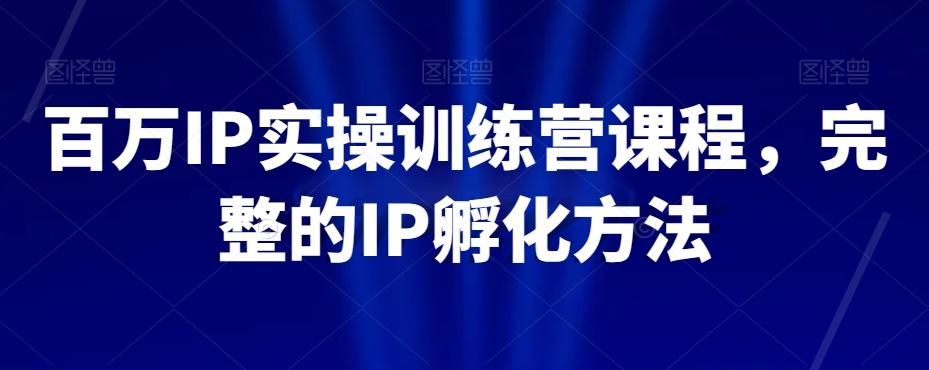 百万IP实操训练营课程，完整的IP孵化方法-搞个副业