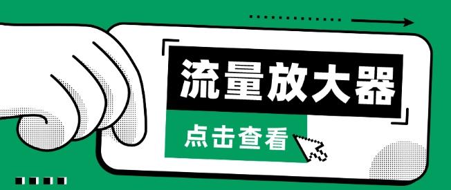 流量放大器，抖音公私域变现+soul私域轰炸器【揭秘】-搞个副业