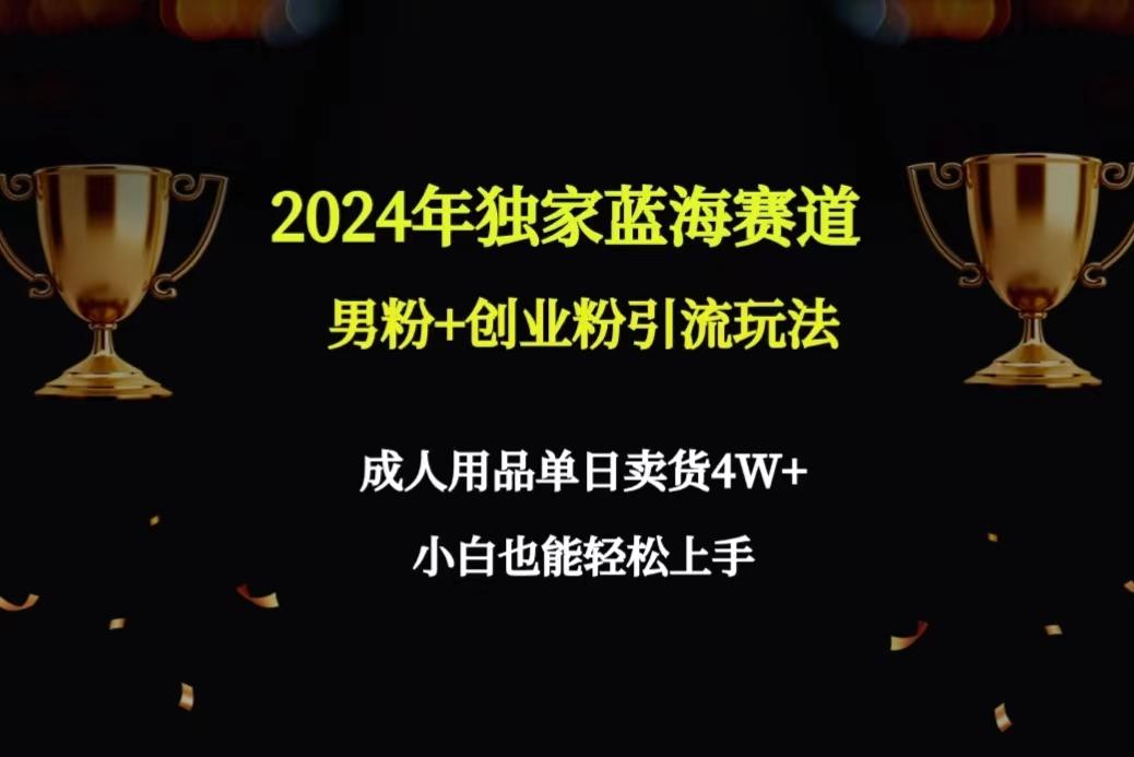 2024年独家蓝海赛道男粉+创业粉引流玩法，成人用品单日卖货4W+保姆教程-搞个副业